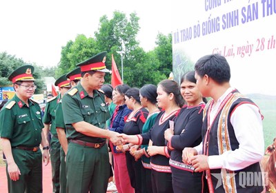 Gallery - 	Binh đoàn 15 anh hùng